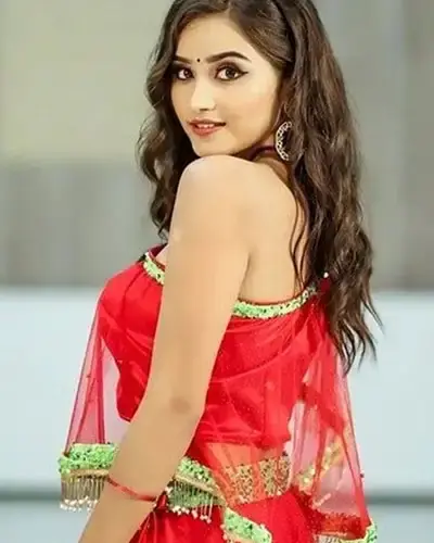 Escort In Firozepur